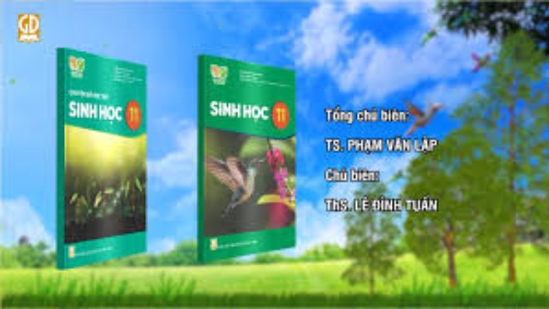 Sinh học 11 KNTT - Tập 1
