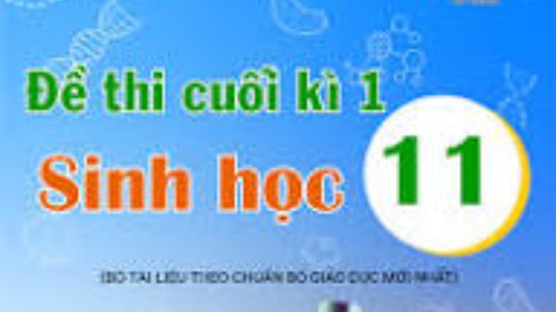 Đề cuối kỳ 1 Sinh học 11 - Có đáp án